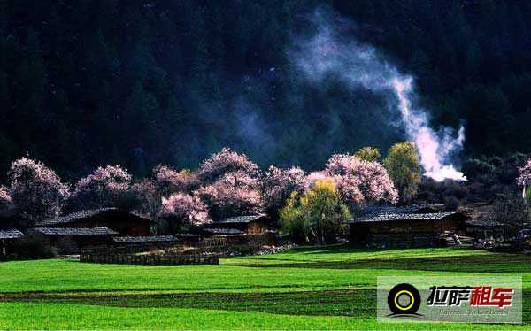 西藏林芝桃花溝